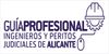 20170529 guia profesional alicante